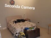 print (4) 1770286063 gallery 180x135